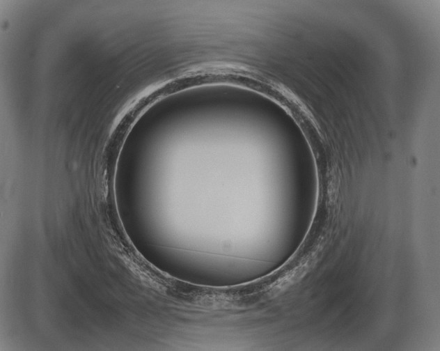 X0000086330973200703301226