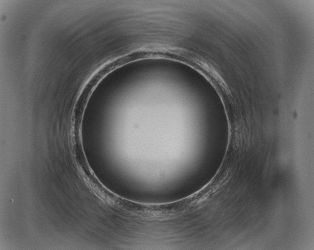 X0000086330976200703301225