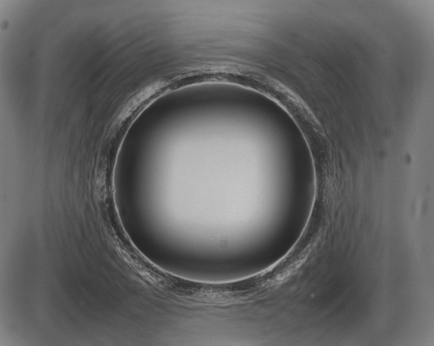 X0000086330977200703301225