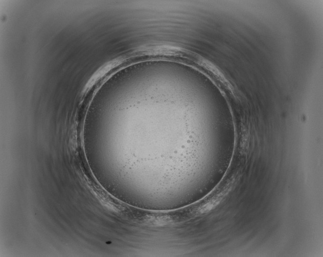 X0000086330978200703301225
