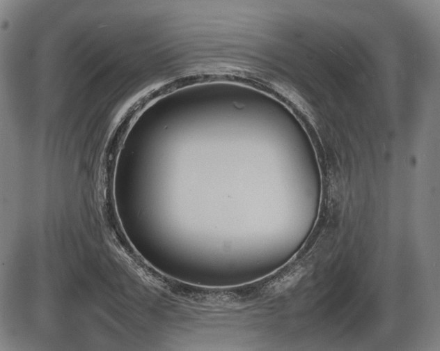 X0000086330979200703301225