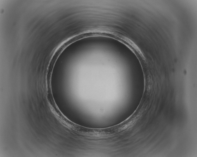 X0000086330980200703301225