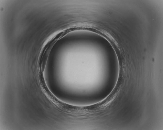 X0000086330981200703301225