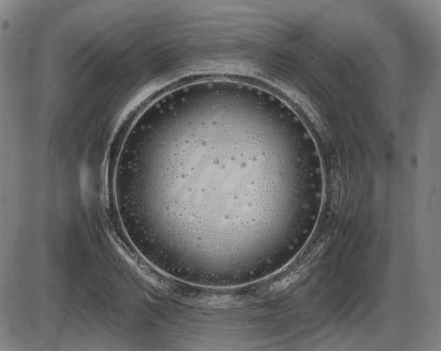 X0000086330982200703301225