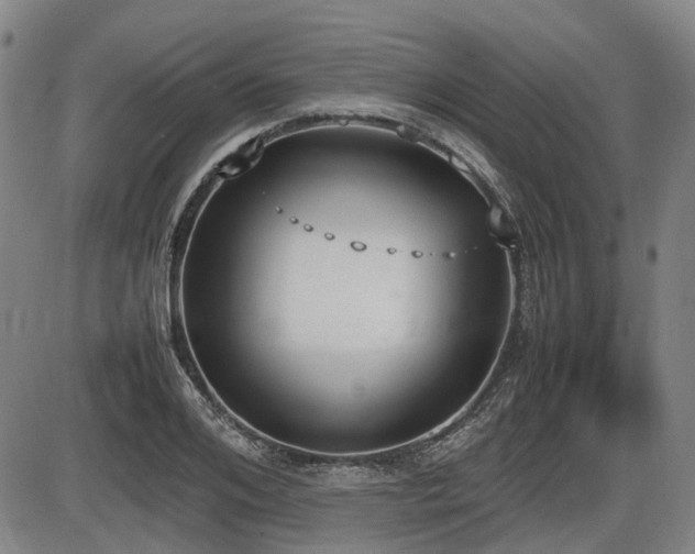 X0000086330984200703301225