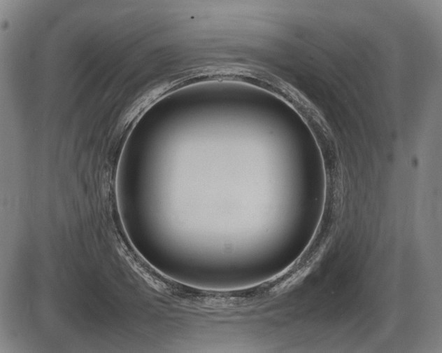 X0000086330985200703301225