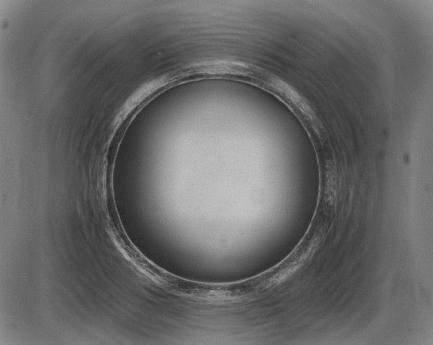 X0000086330986200703301225