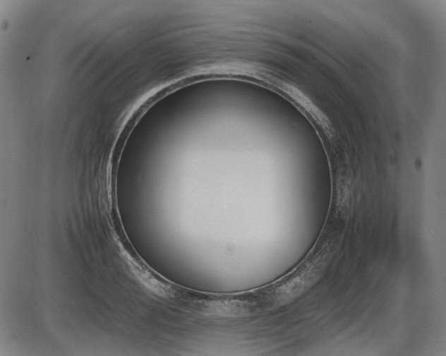 X0000086330988200703301225