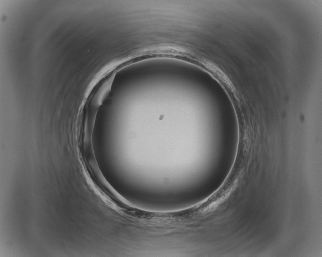X0000086330989200703301225