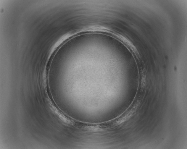 X0000086330990200703301225