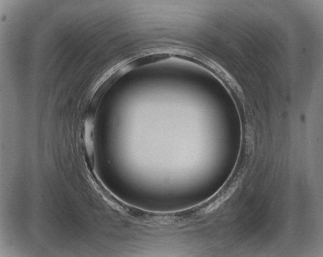 X0000086330993200703301225