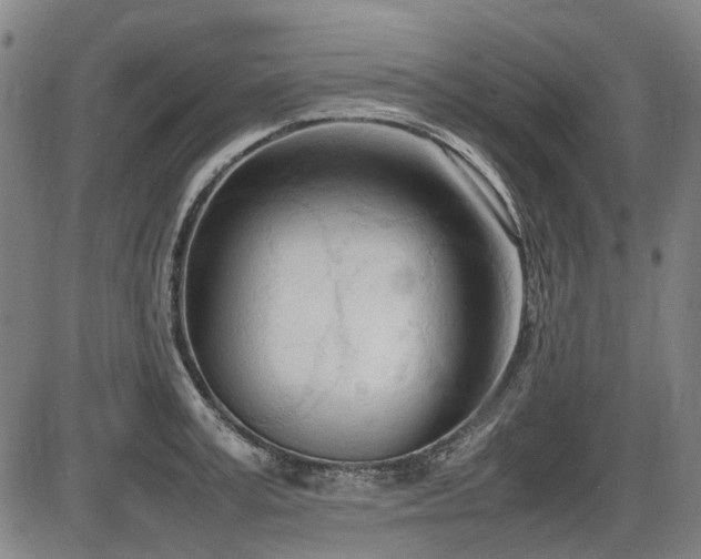X0000086330995200703301225