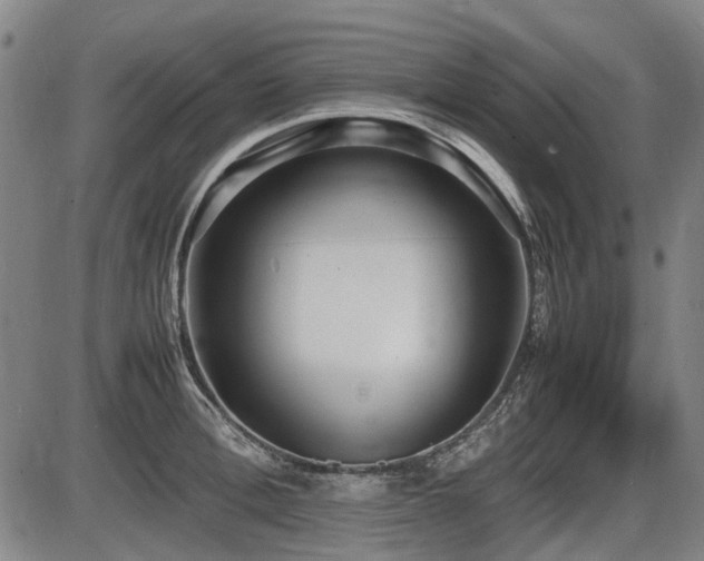 X0000086330996200703301225