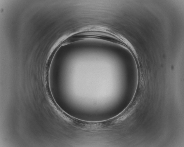 X0000086330997200703301225