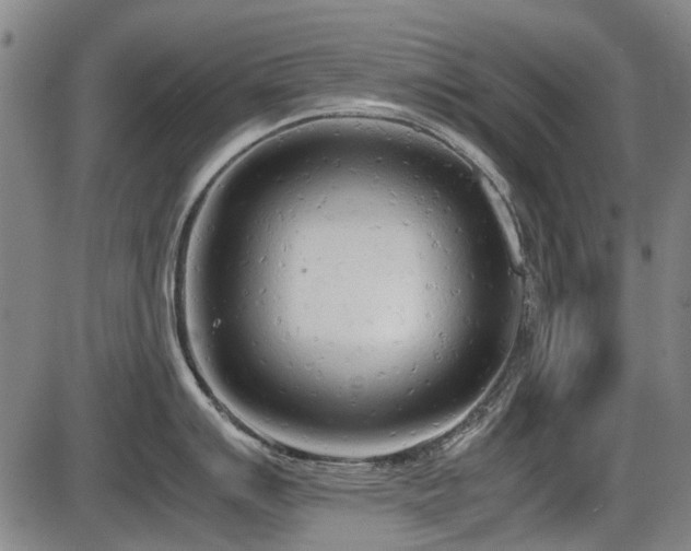 X0000086331007200703301225