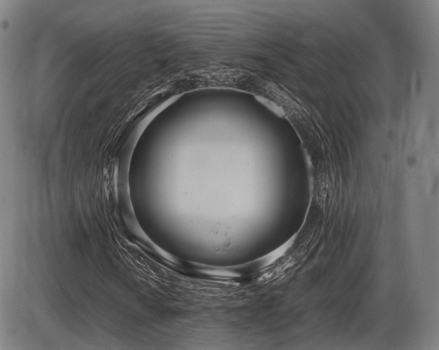 X0000086331010200703301224