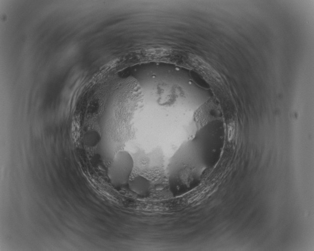 X0000086331011200703301224