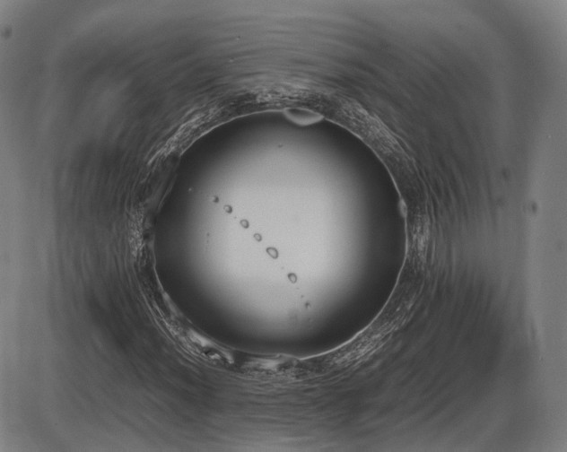 X0000086331012200703301224