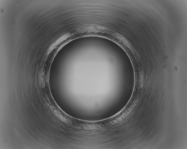 X0000086331018200703301224