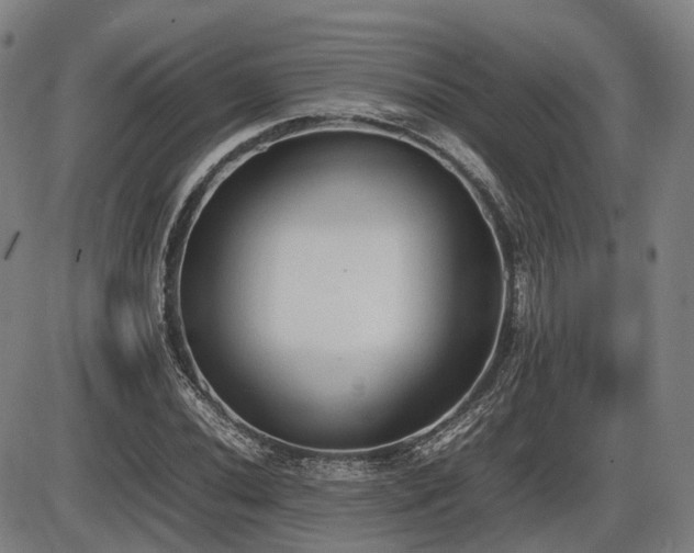 X0000086331020200703301224