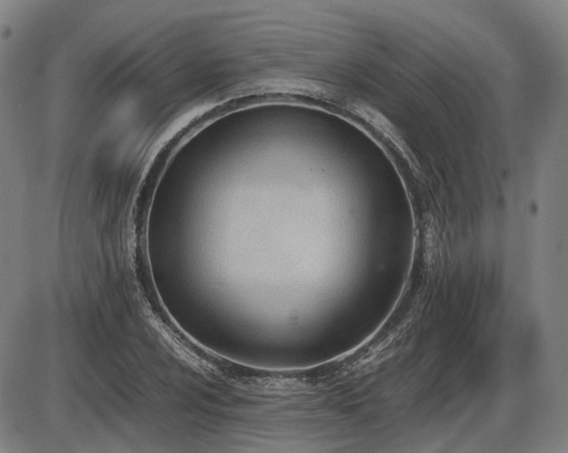 X0000086331024200703301224