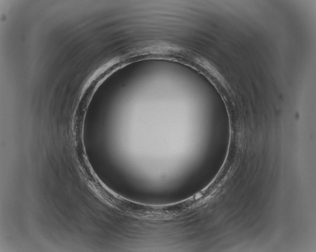 X0000086331026200703301224