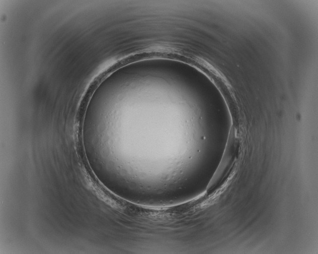 X0000086331029200703301224