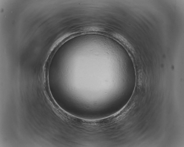 X0000086331031200703301224