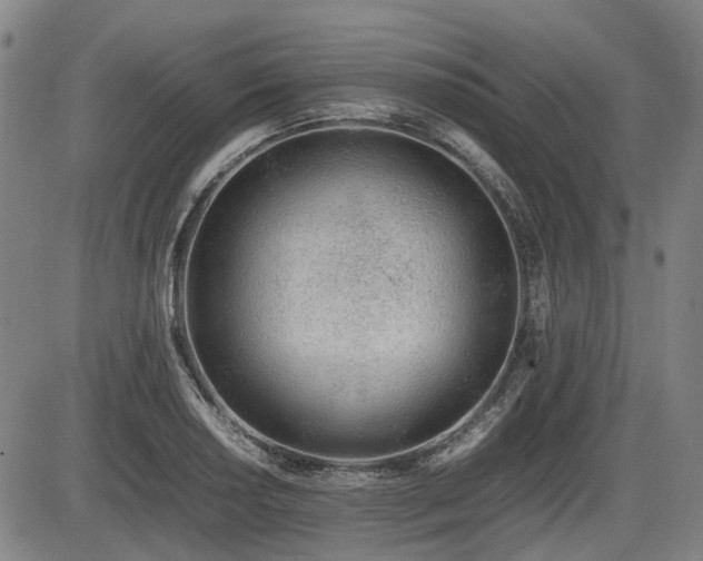 X0000086331034200703301225