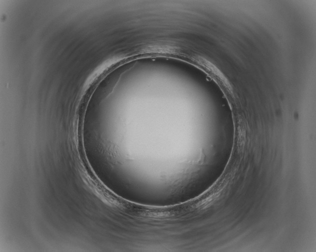 X0000086331035200703301225