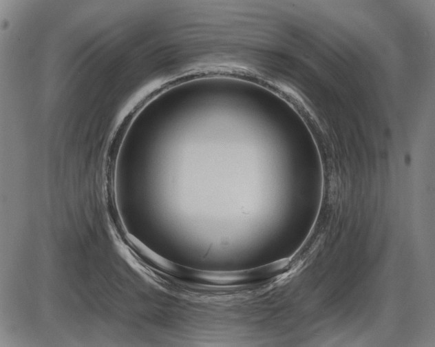 X0000086331038200703301225