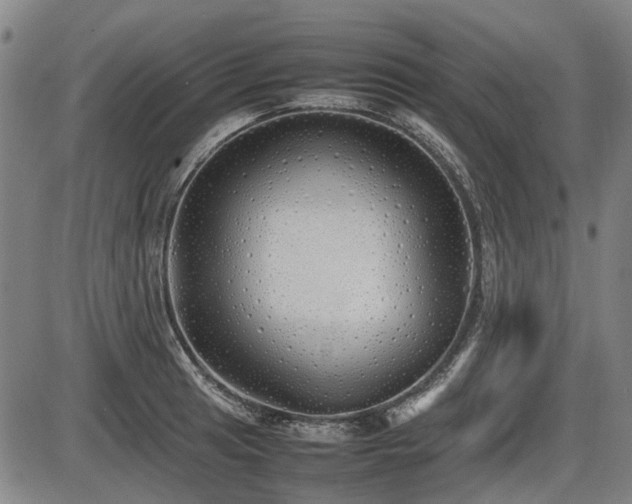 X0000086331041200703301225