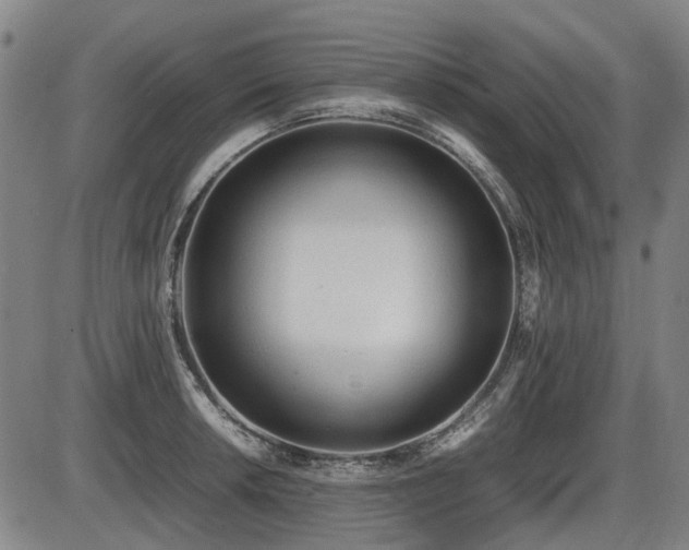 X0000086331042200703301225