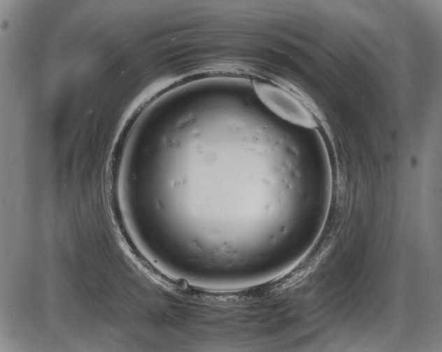 X0000086331045200703301225