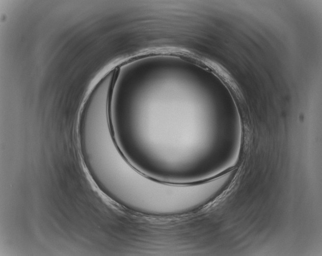 X0000086331046200703301225