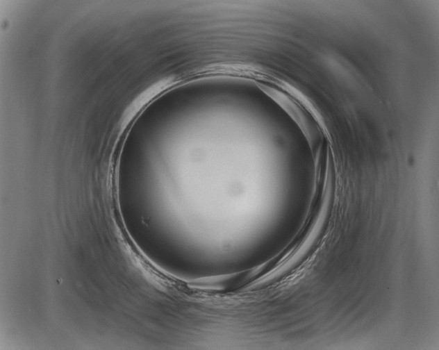 X0000086331050200703301225