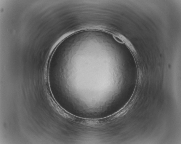 X0000086331052200703301225