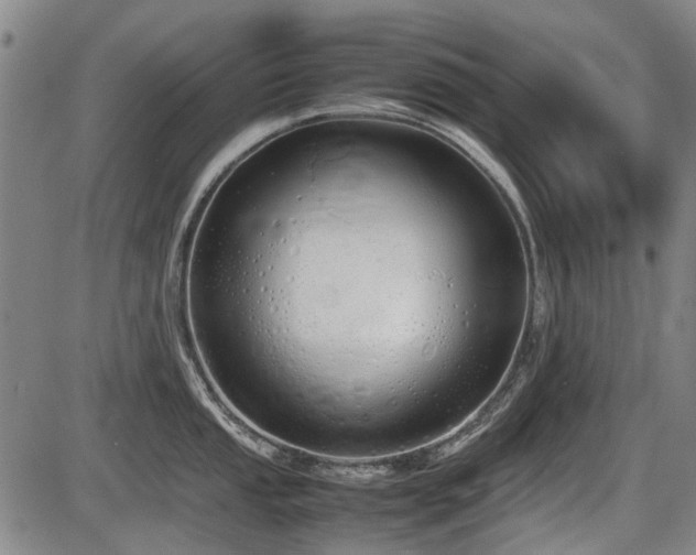 X0000086331053200703301225