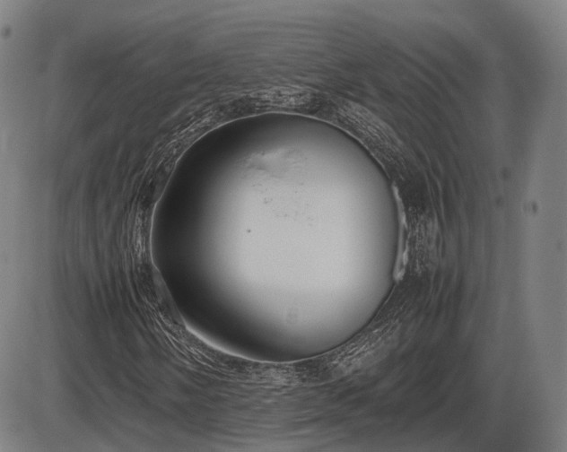 X0000086331058200703301224