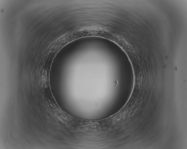 X0000086331062200703301224