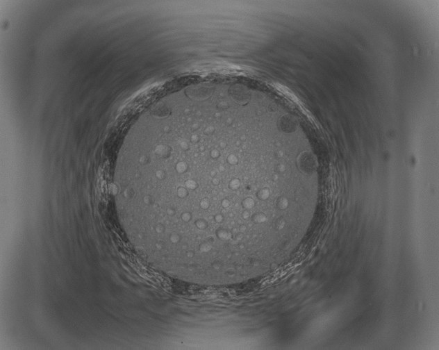 X0000086331063200703301224