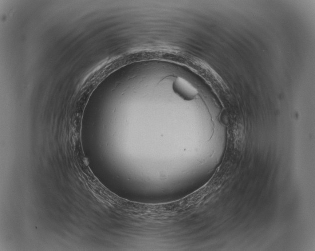 X0000086331064200703301224