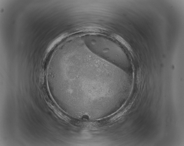 X0000086331067200703301224