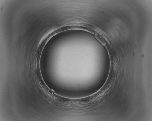 X0000086331069200703301224