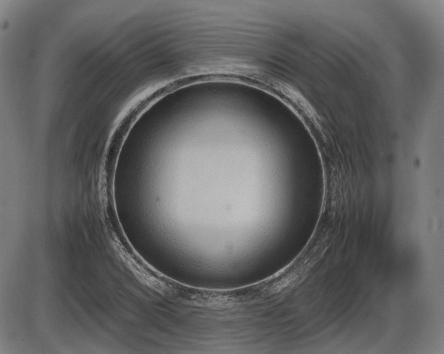 X0000086331072200703301224