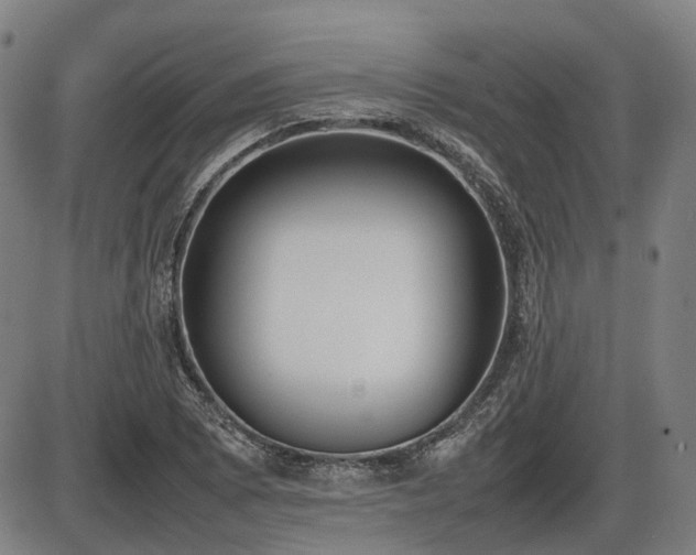 X0000086331073200703301224