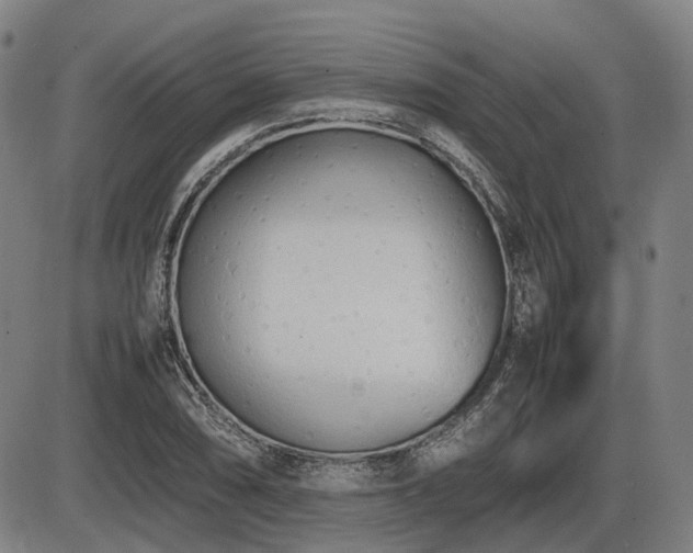 X0000086331074200703301224
