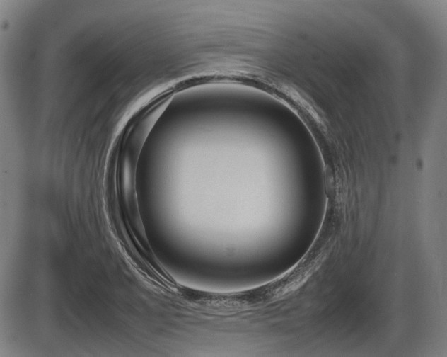 X0000086331077200703301224
