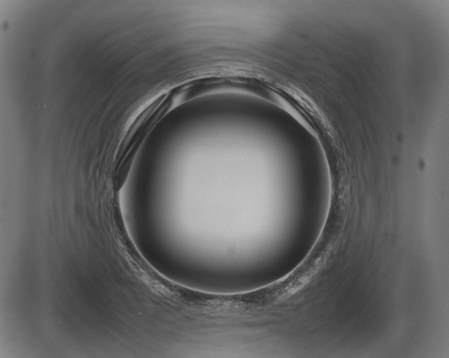 X0000086331081200703301224