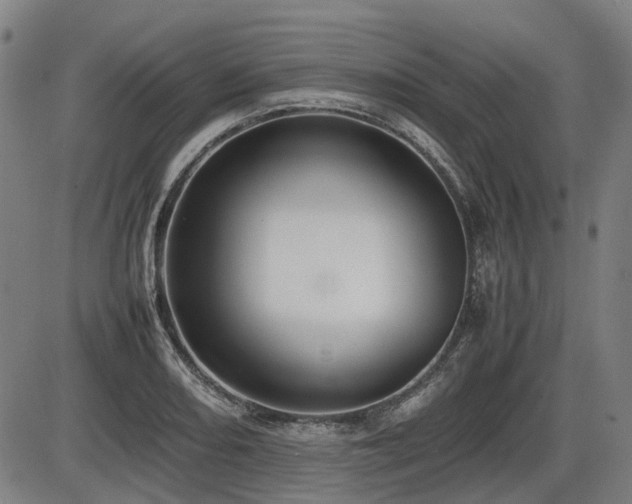 X0000086331082200703301224